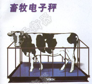 500kg動(dòng)物稱重秤